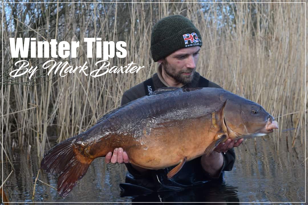 Mark Baxter’s – Top tip for winter