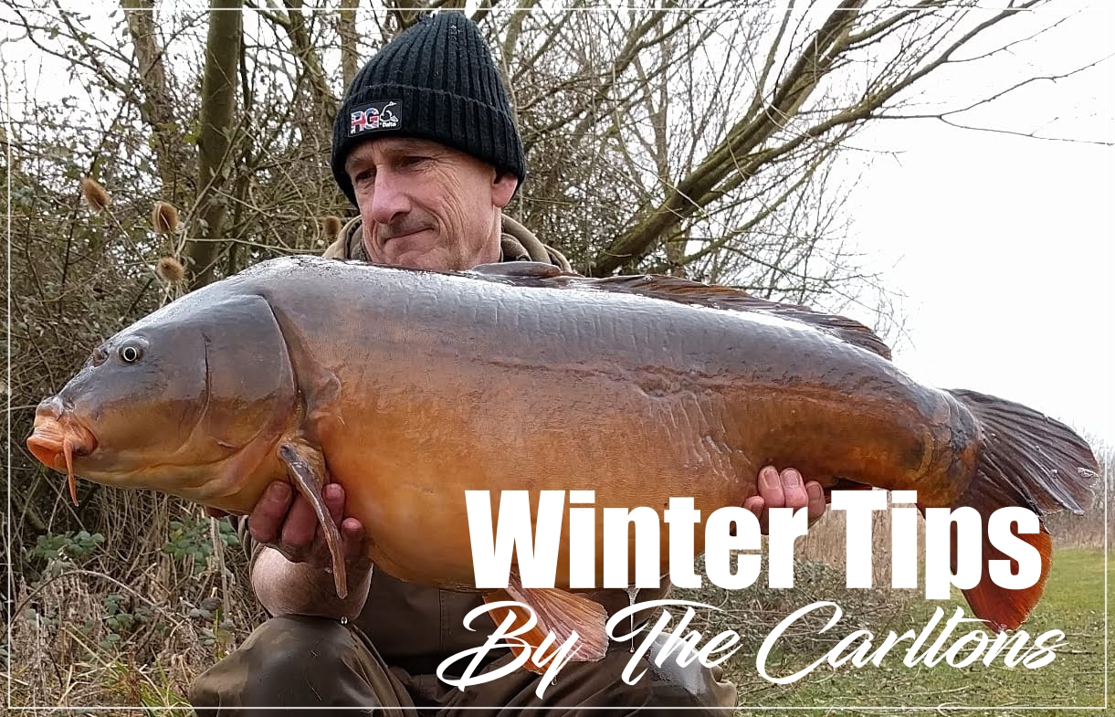 Winter Tips by the Carltons