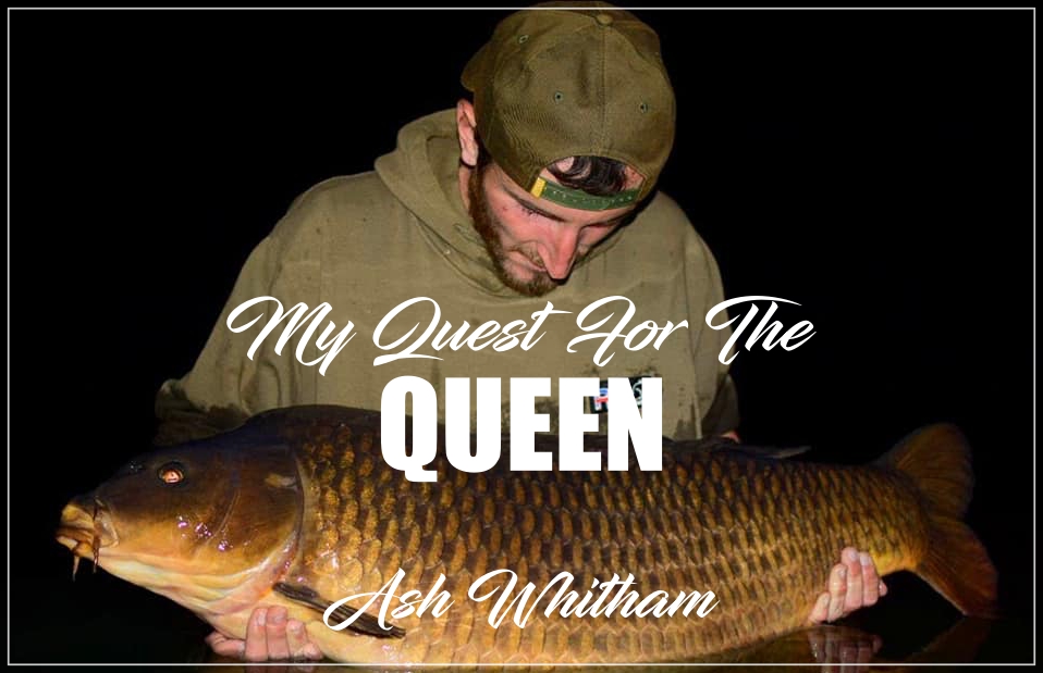 My Quest For The Queen – By Ashley Whitham