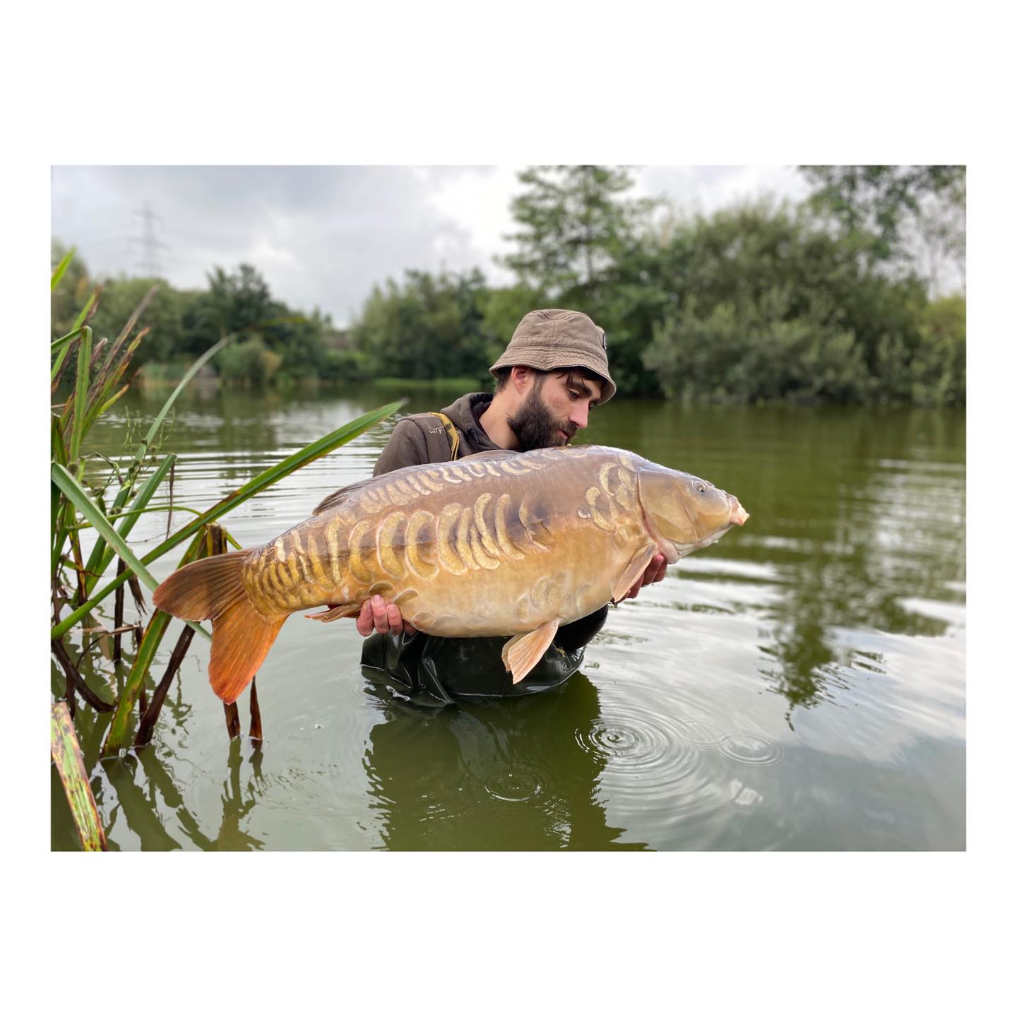 The Tiger Fish – Liam Hodgson