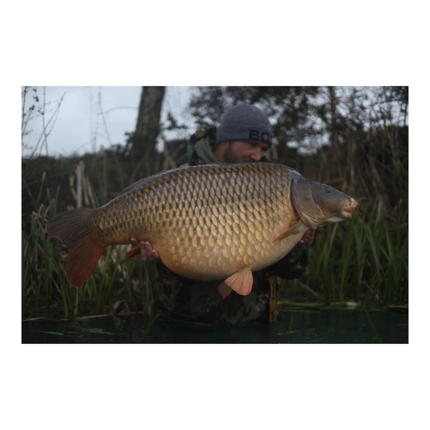 Old Mills Big Common – Liam Gingell