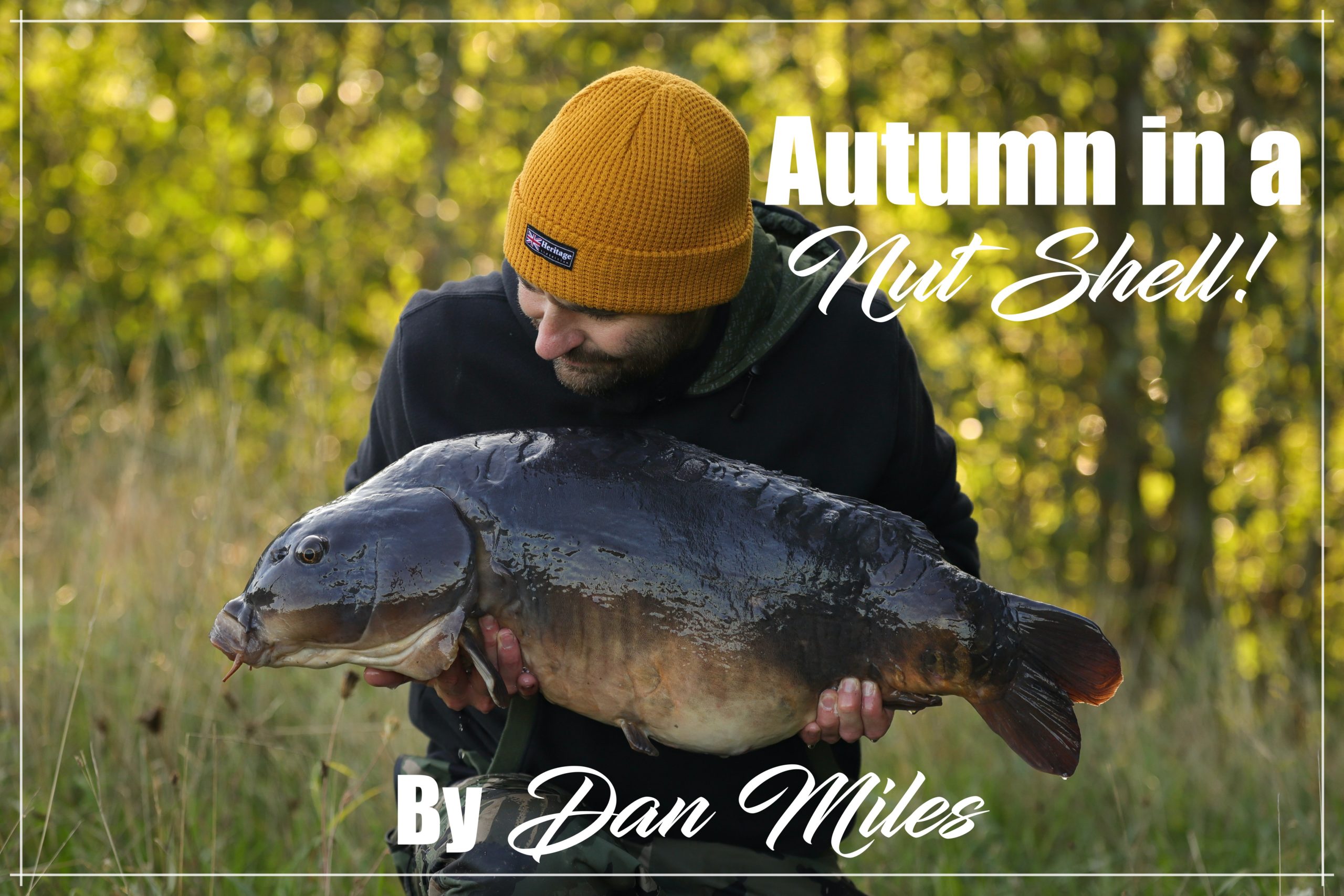 Autumn in a nut shell – Dan Miles