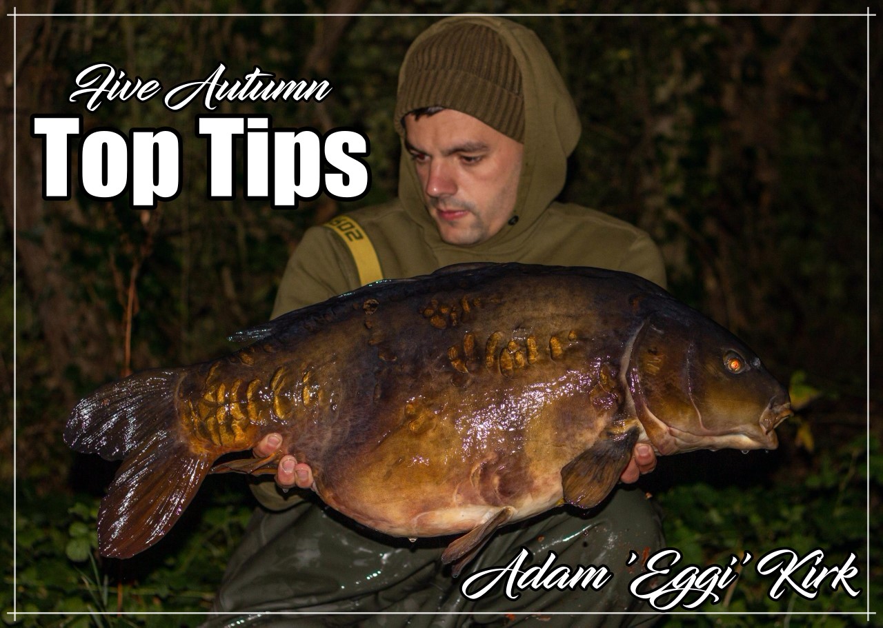 Top 5 autumn tips – Adam ‘Eggi’ Kirk’s