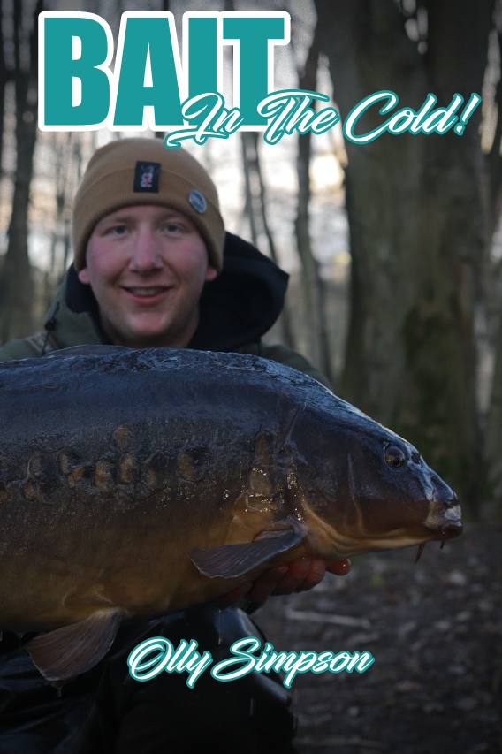 BAIT IN THE WINTER – Olly Simpson